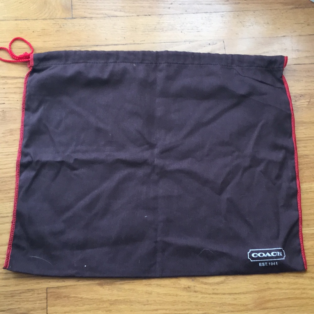 Coach Shoe/purse bag